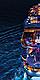 Symphony of the Seas at Night Poster 608 1080 FAM NF 2x