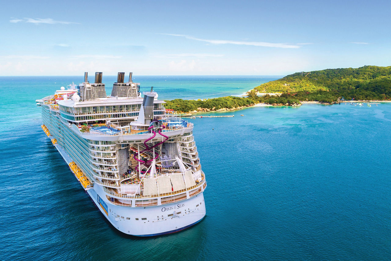 Tall Shot Glass ~ Royal Caribbean Cruise Save the Waves