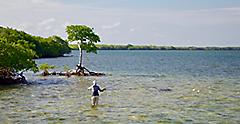 fly fishing in Islamorada. Florida Keys, Florida.