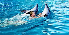 Child swimming and smiling with dolphins. Florida.