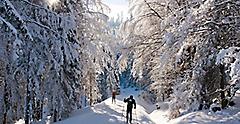 Hiking in Snow on Holiday Vacation in Sumava, Czech Republic